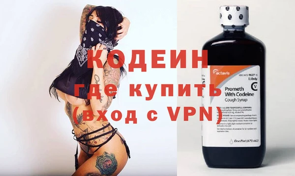 шишки Гусиноозёрск