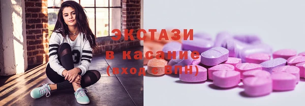круглые Гусев