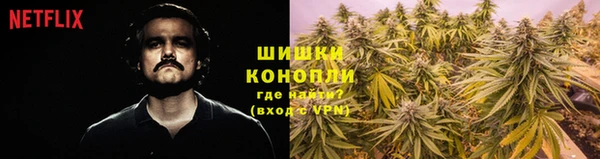 шишки Гусиноозёрск