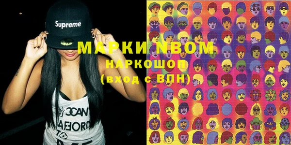 шишки Гусиноозёрск