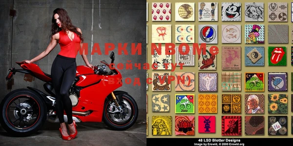 шишки Гусиноозёрск
