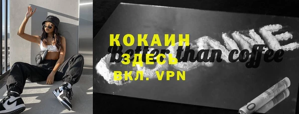шишки Гусиноозёрск