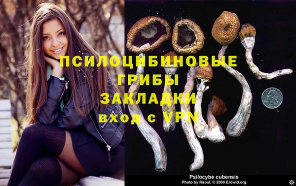 круглые Гусев