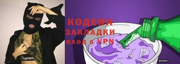 шишки Гусиноозёрск