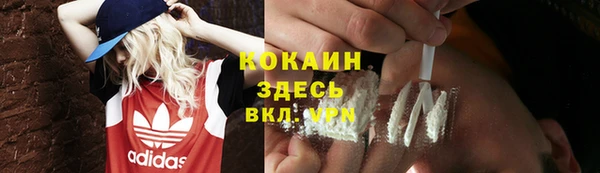 круглые Гусев