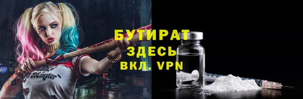 шишки Гусиноозёрск