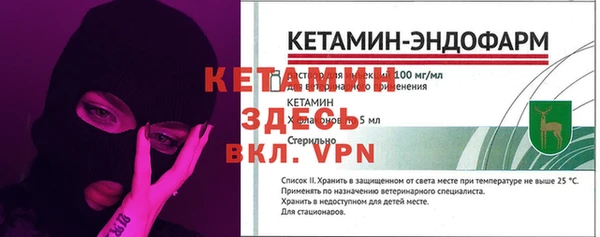 шишки Гусиноозёрск