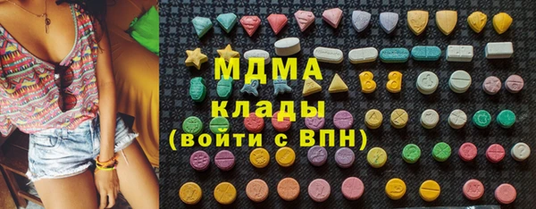 круглые Гусев
