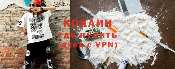 круглые Гусев