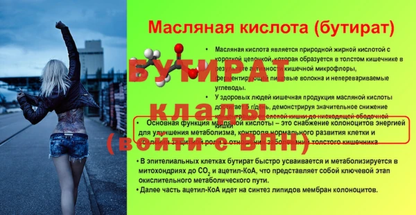 шишки Гусиноозёрск