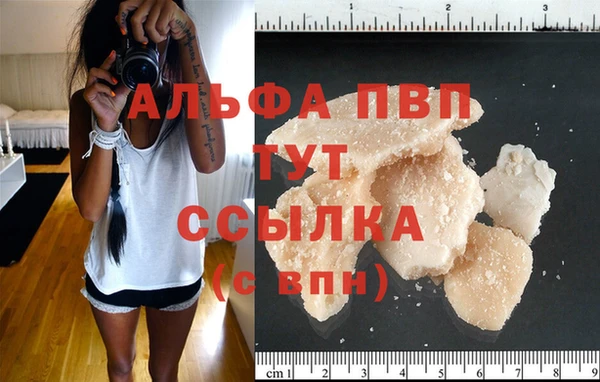 шишки Гусиноозёрск