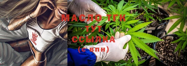шишки Гусиноозёрск