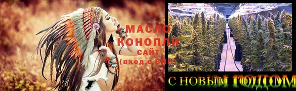 круглые Гусев