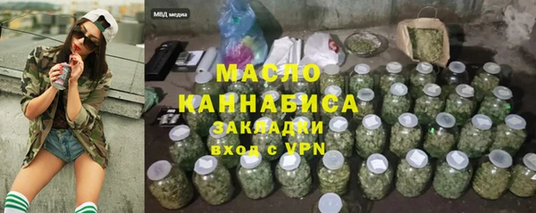 шишки Гусиноозёрск