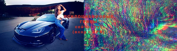 круглые Гусев