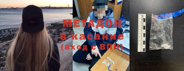 шишки Гусиноозёрск