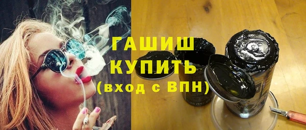 шишки Гусиноозёрск