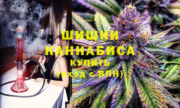 круглые Гусев