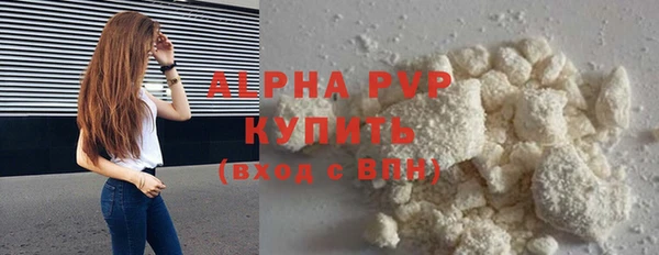 шишки Гусиноозёрск